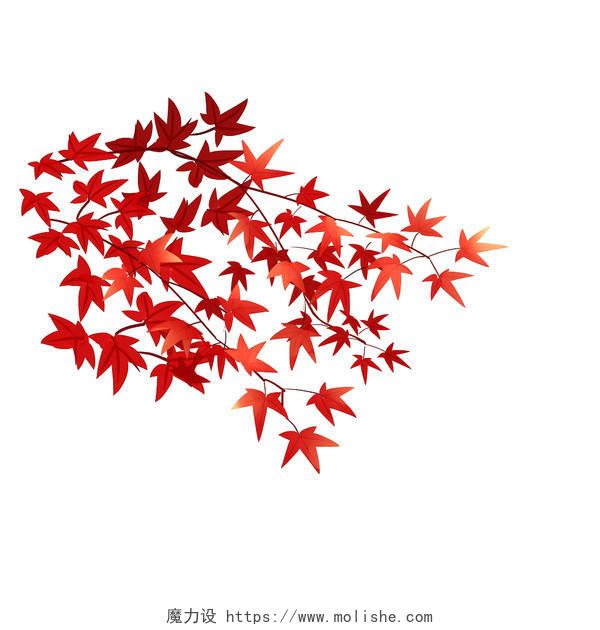 枫叶落叶秋天小清新红色枫叶树枝
